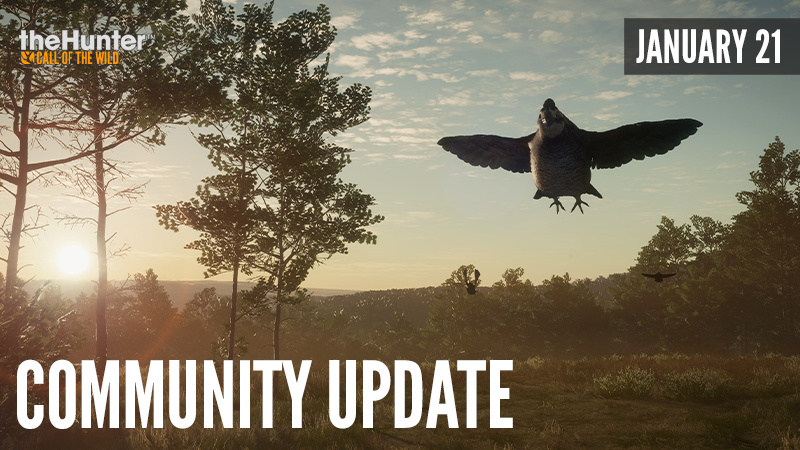 theHunter: Call of the Wild™ - Community Update - Steam News
