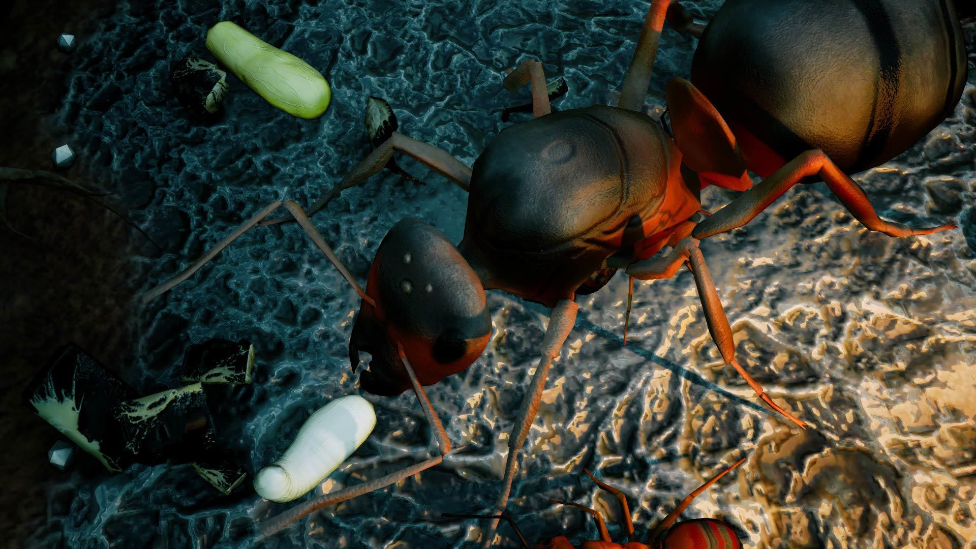 get your ants to follow pheromones in empire of the undergrowth