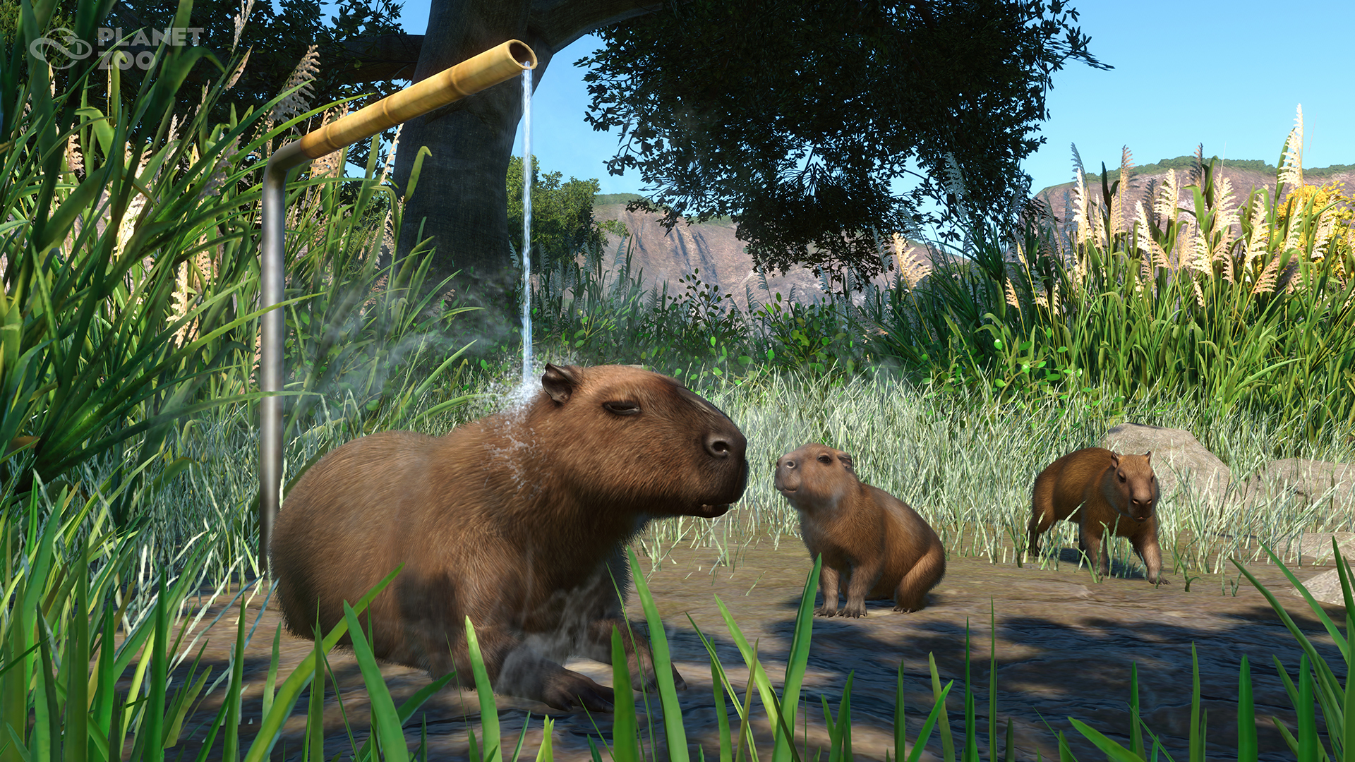 Planet Zoo: Wetlands Animal Pack and Update 1.9 Out Now! · Planet Zoo  update for 12 April 2022 · SteamDB