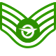 Series 1 - Graduate Staff Sergeant
