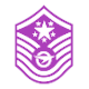 Series 1 - Graduate Master Sergeant