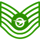 Series 1 - Graduate Tech Sergeant