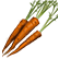 :Carrots: