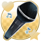 Series 1 - Idol