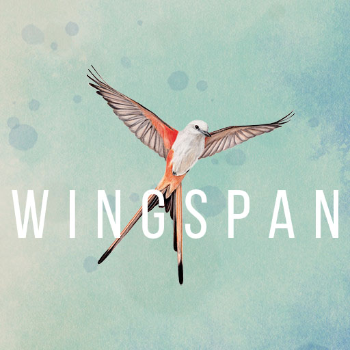 Wingspan Profile