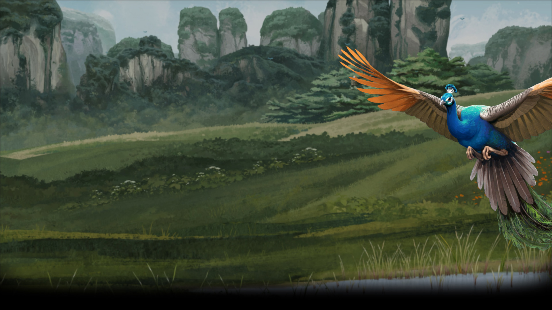 Asian Meadow