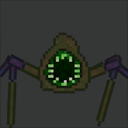 bug