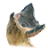 :shaihulud: