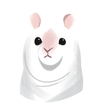 Surprised Rat (animated)