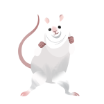Punching Rat (animated)
