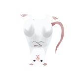 Headstand Rat (animated)