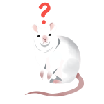 Huh Rat (static)