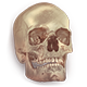 Series 1 - Golden Skull