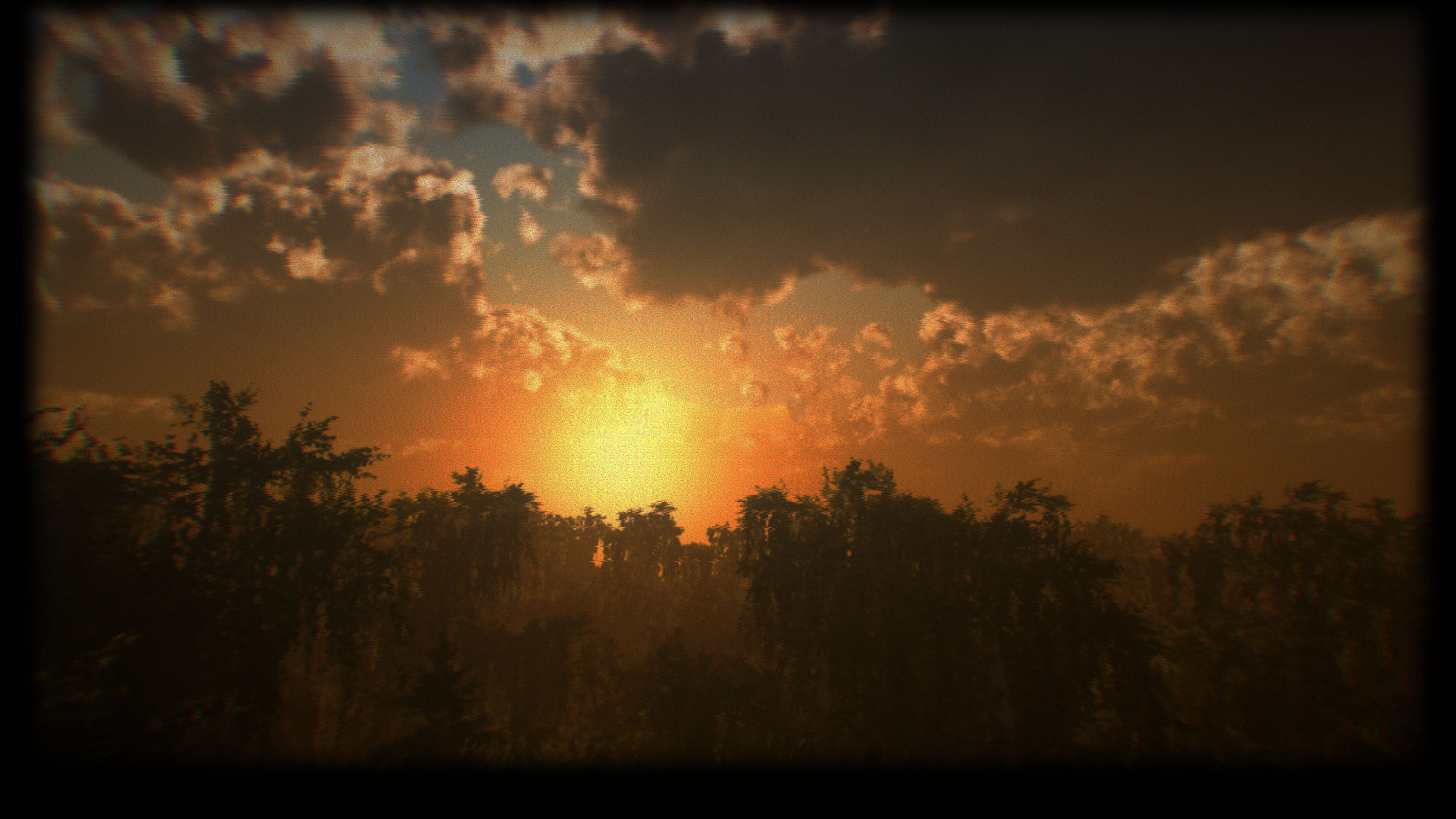 Sunset in the forest