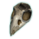 Series 1 - Cracked skull