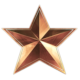 Series 1 - Bronze Star