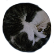 :Cat_Ball: