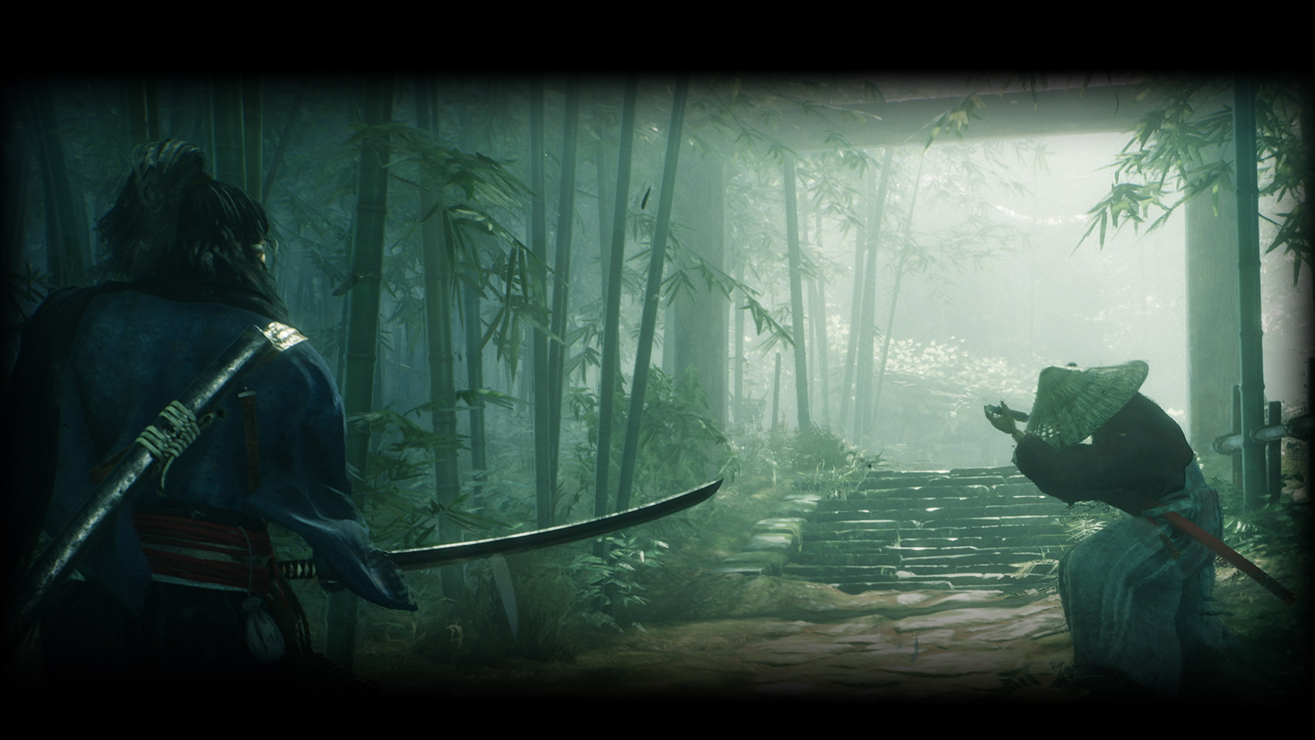 Rise of the Ronin