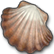 :Sea_Shell: