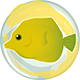 Series 1 - Yellow Tang