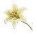 :FF7Rflower: