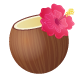 Series 1 - Coconut Mojito