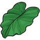 Series 1 - Green leaf