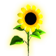 Sunflower King