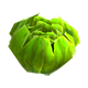 Series 1 - Cabbage