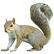 :treesquirrel: