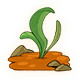 Pumpkin Sprout