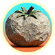 Series 1 - Stone Tomato