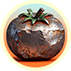 Series 1 - Iron Tomato