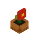 Series 1 - Flower