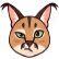:CluelessFloppa: