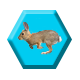Rabbity Rabbit