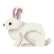 :Rabbit_pixel: