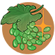 Series 1 - Green Vine