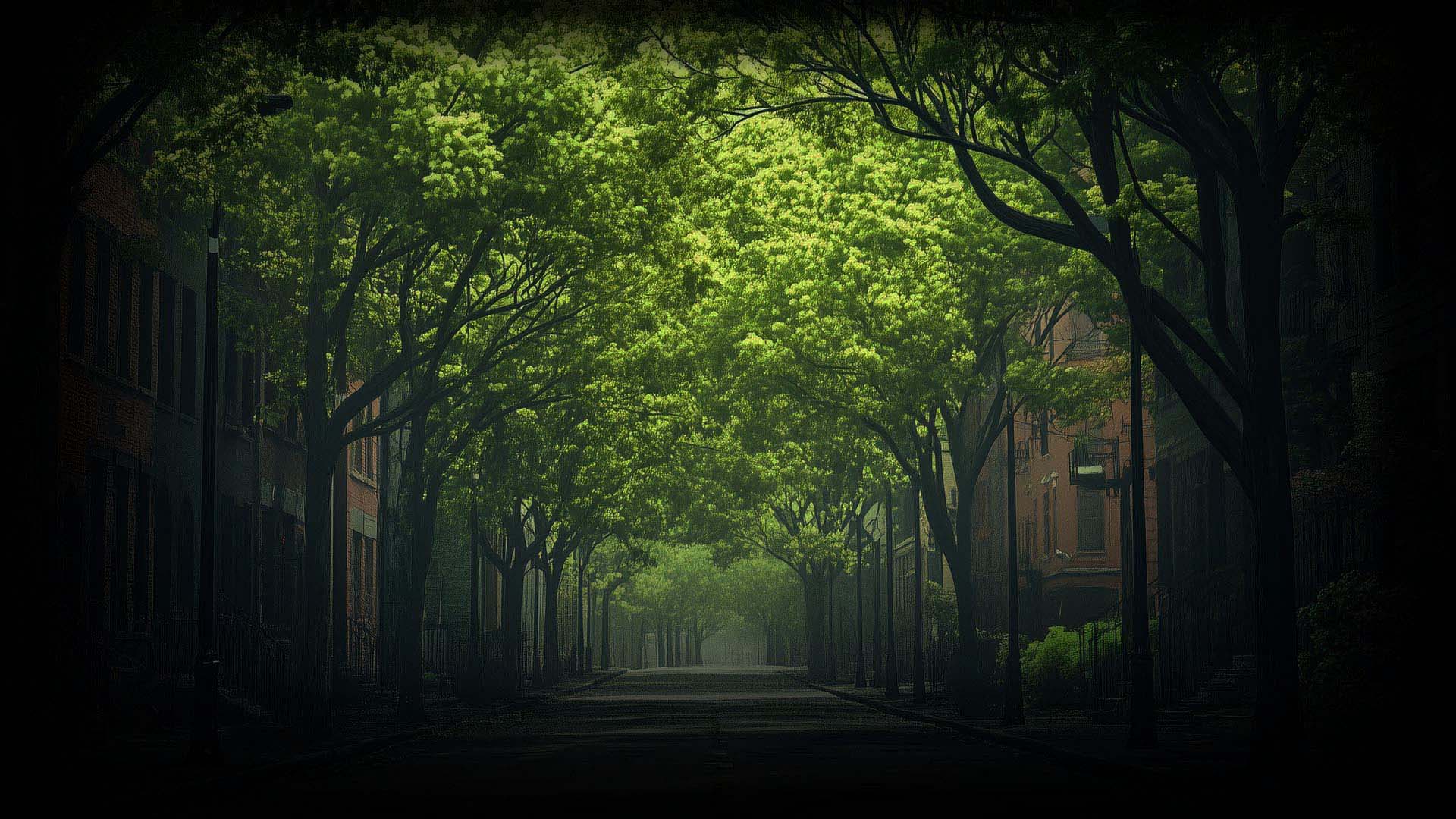 spring