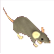 :ratguy: