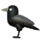 Series 1 - Black Crow