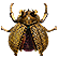 :Golden_Trove_Beetle: