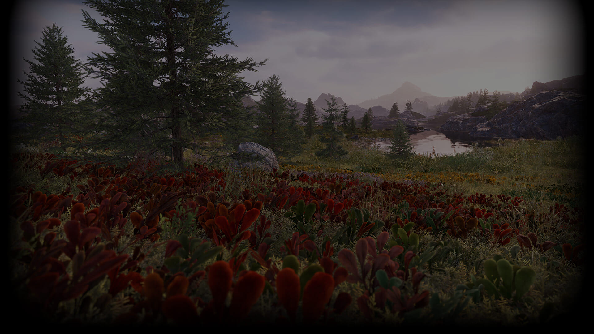 Flower field