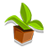 :TPM_Botany: