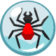 Series 1 - Queen Spider