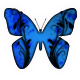 Series 1 - Blue Butterfly