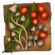 Series 1 - Herbs