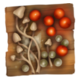 Series 1 - Mushrooms
