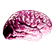 :smallbrain_am: