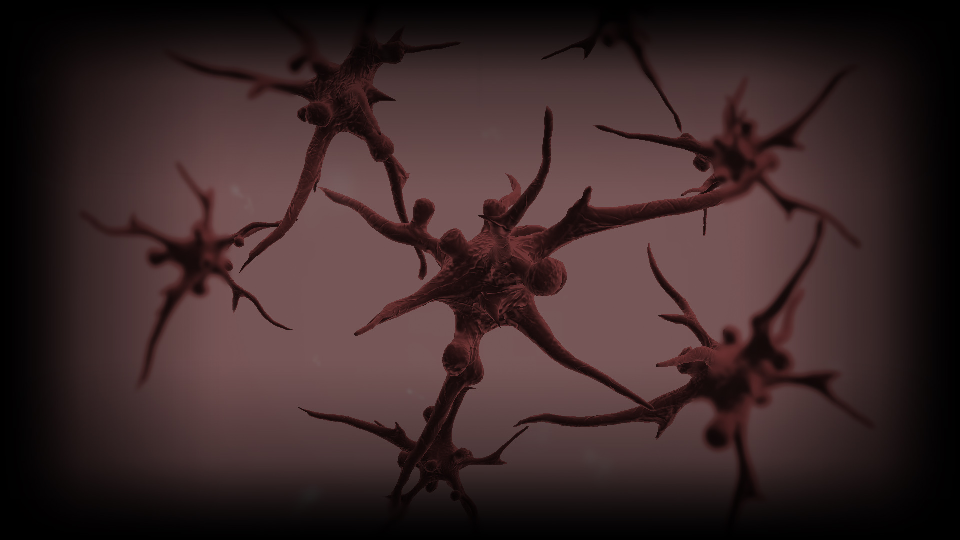 Fungus Background